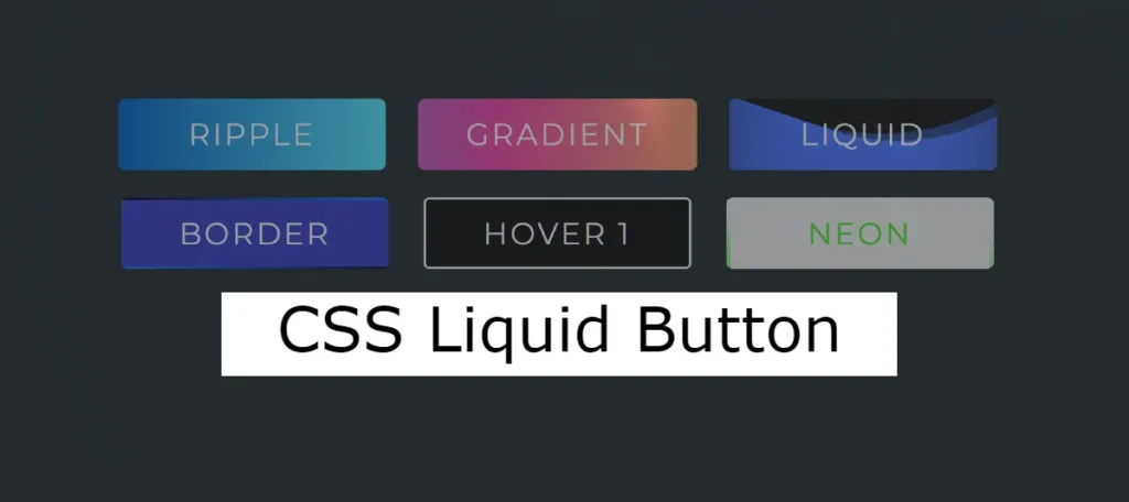20+ CSS Liquid Button (2024 Collection)