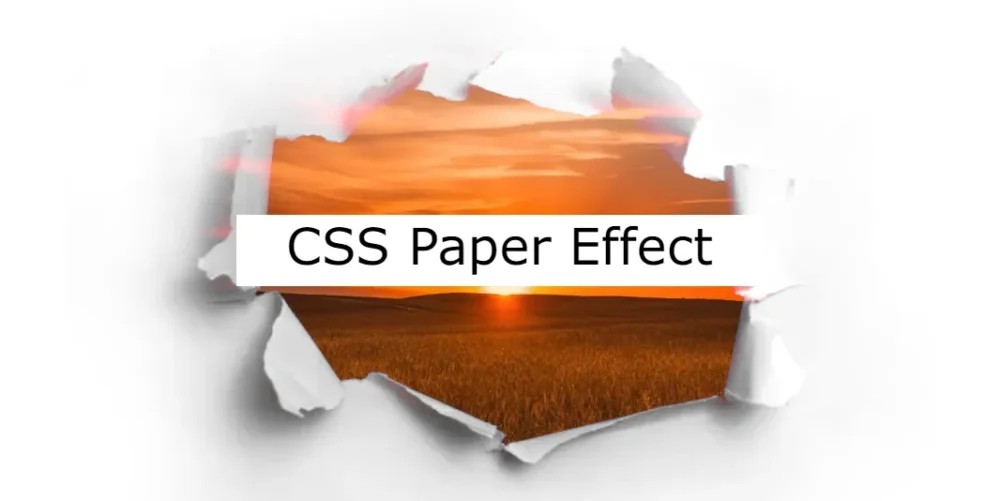 In this article I will share with you 40 Best CSS Paper Effect Examples. CSS paper effects provide designers with a versatile toolkit to elevate the visual appeal of web pages.